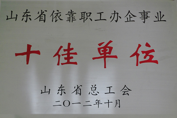 山東省依靠職工辦企事業十佳單位